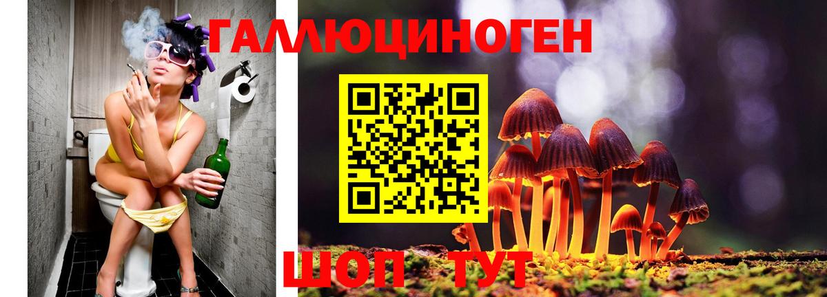 Псилоцибиновые грибы MAGIC MUSHROOMS  Псилоцибиновые грибы ЛСД  Красноперекопск  Вход с VPN 